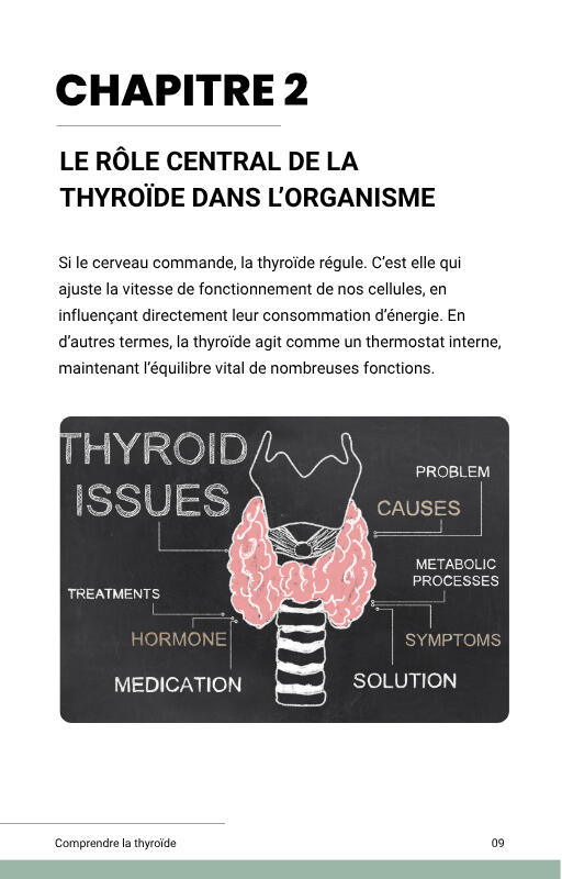 Le rôle central de la thyroïde dans l'organisme