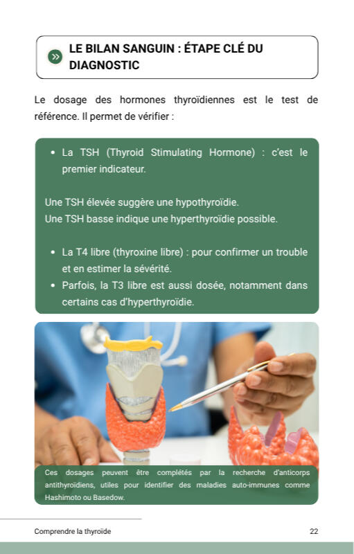Le bilan sanguin